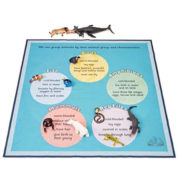 Habitats Classification Mat