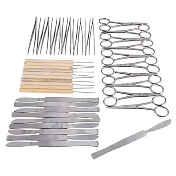 Dissection Kit - Classroom Bundle