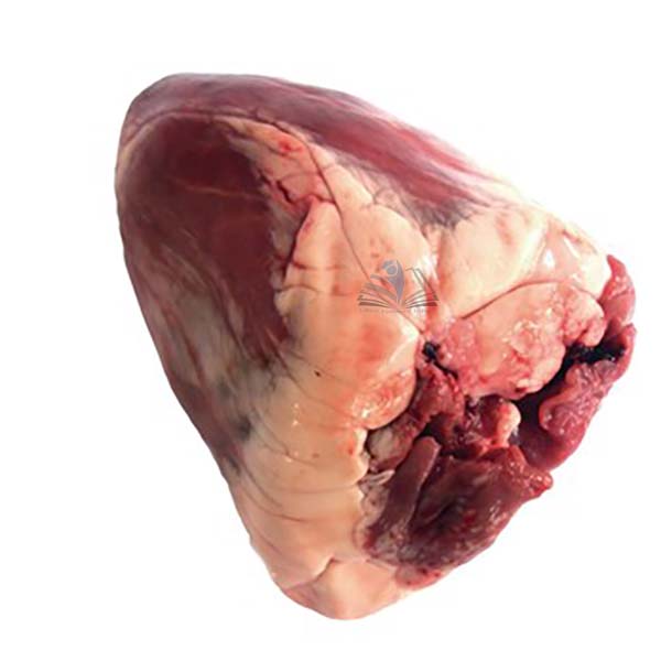Sheep Hearts (Halal)