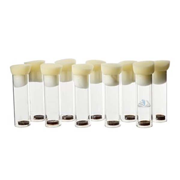 Prepared Food For Drosophila