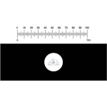 stage Micrometer