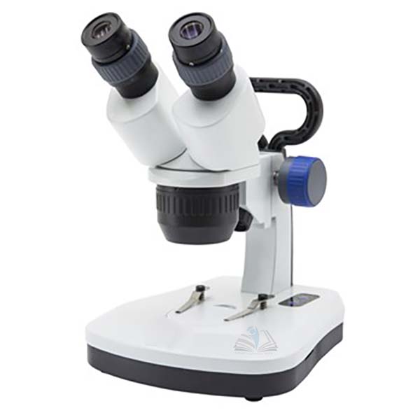 Stereo Microscope 30x