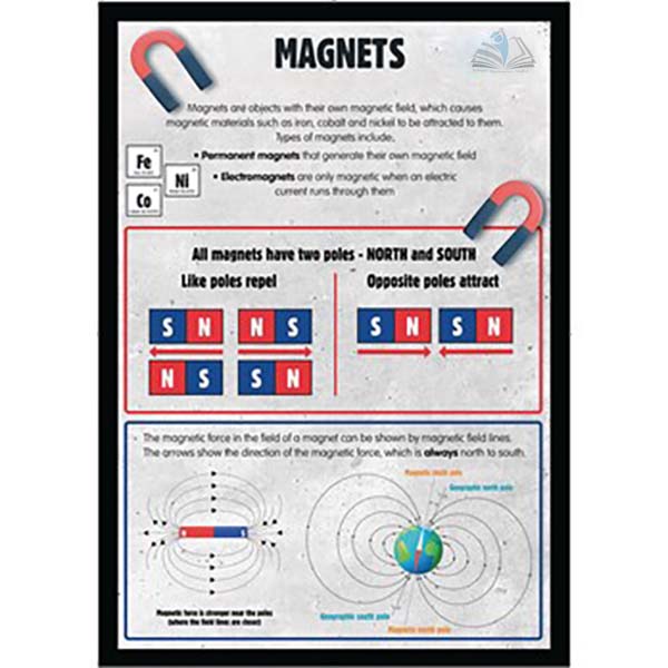 Magnets and Forces Poster