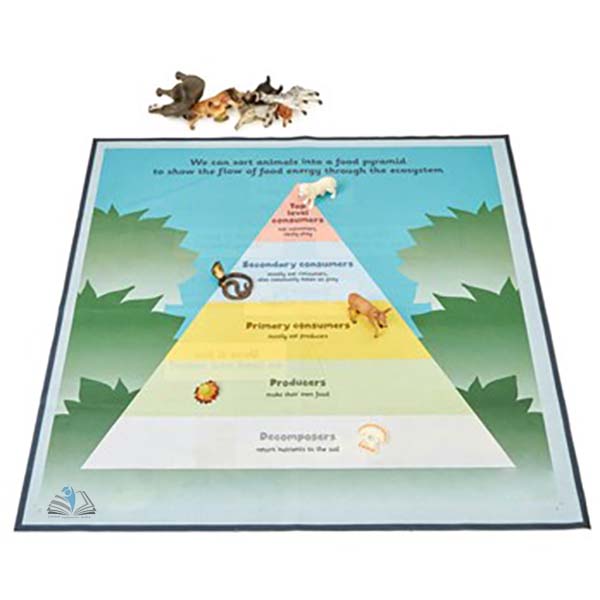 Food Chain and Classification Key Mat