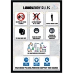 Laboratory Rules Poster