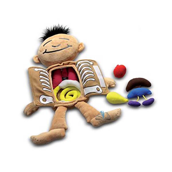 What's Inside Me Doll