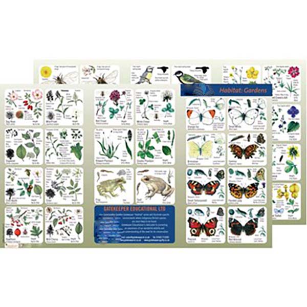Wildlife Habitat Guide British Gardens