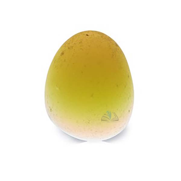 Sunset Egg