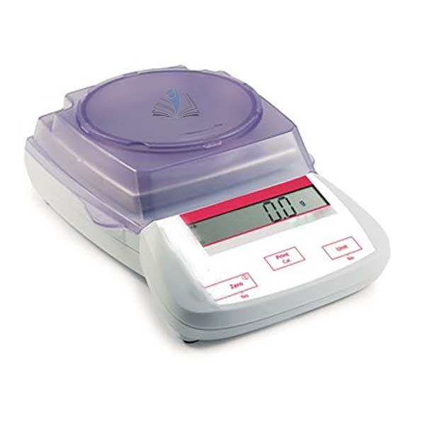 Balance - 5000g x 1.0g