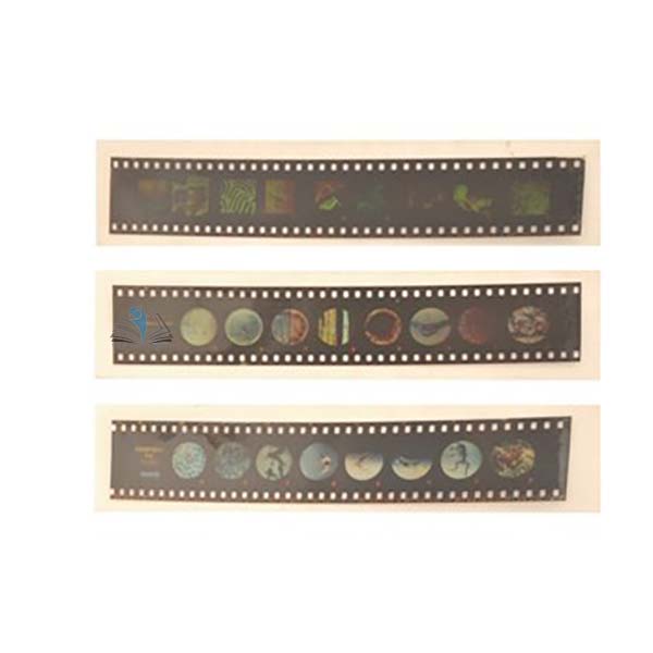 Micro Slide Set - Cells of Plants