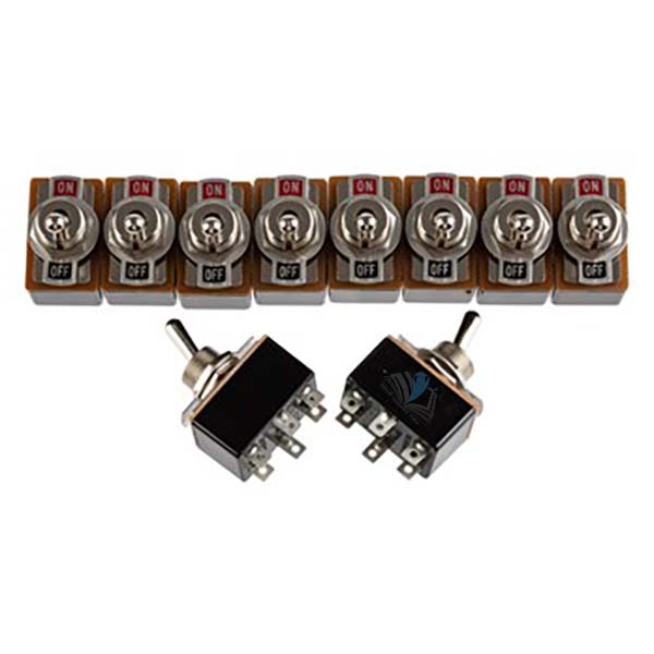 DPDT Switches