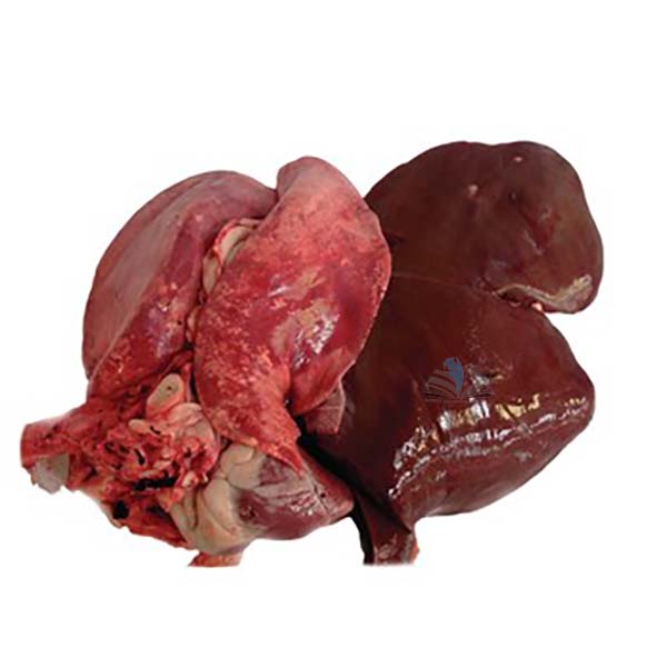 Sheep Pluck, with Liver (Halal)