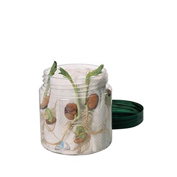 Laboratory Grade Seeds, Brassica Rapa