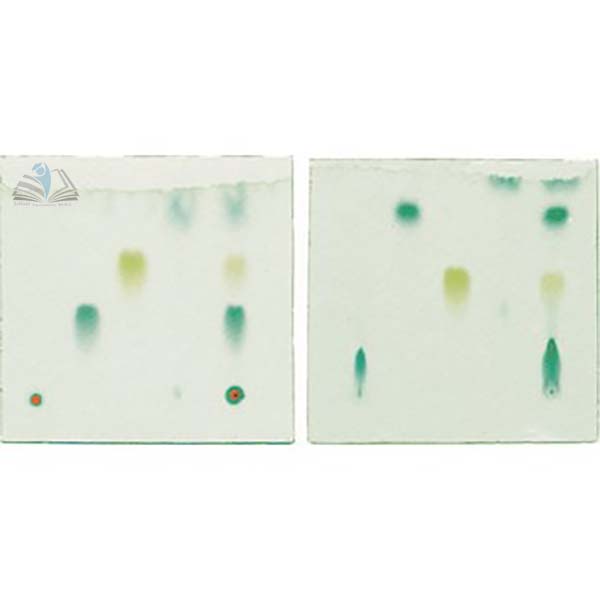 Principles of Thin Layer Chromatography Kit