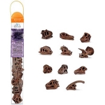 Dinosaur Skulls